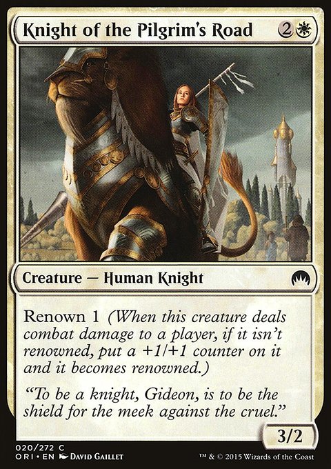 Knight of the Pilgrim's Road